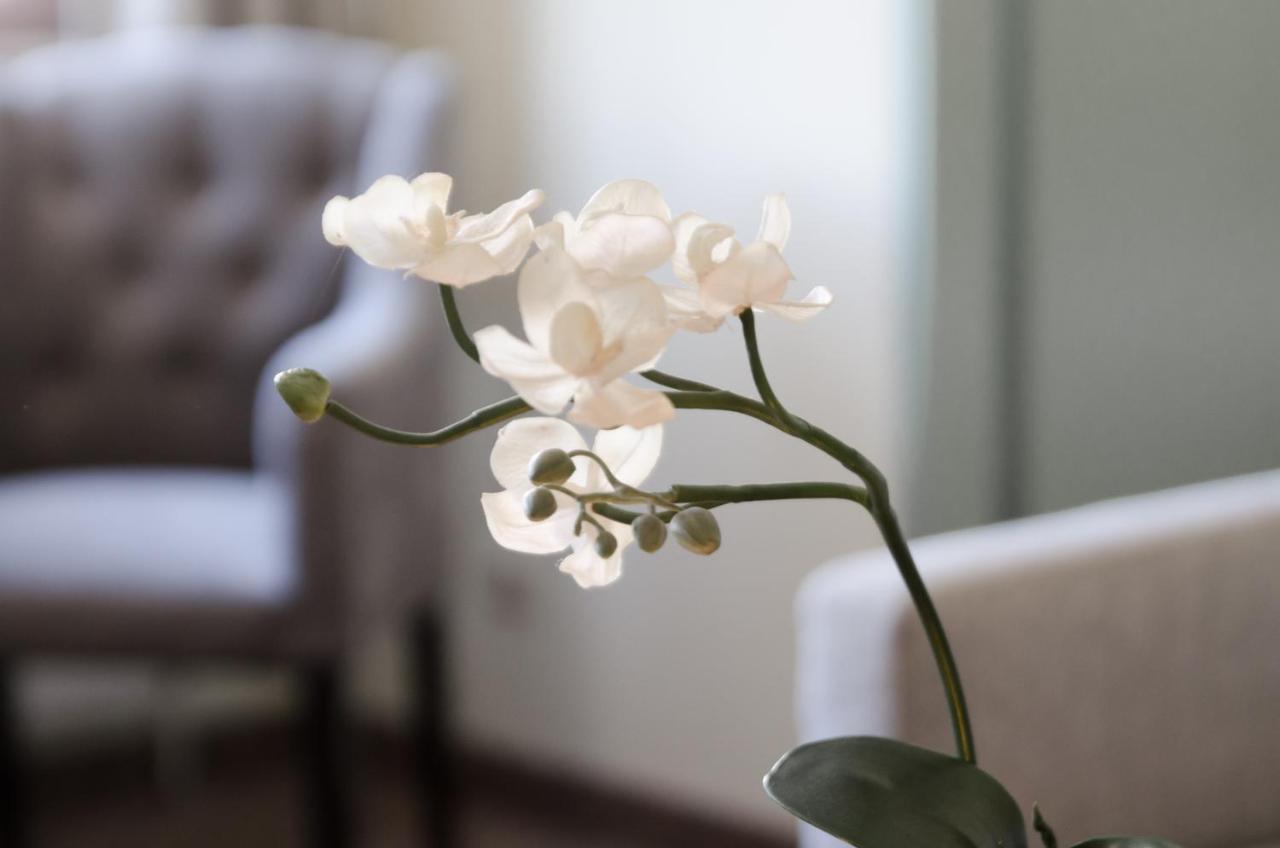 Hotel Unterbrunn Apartments & Gaestehaus Neukirchen am Großvenediger 외부 사진